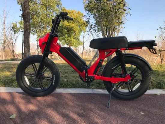 Bicicleta eléctrica de 1000W y 52V con neumático grueso de 20 pulgadas