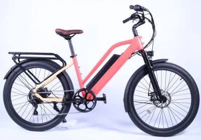 Bicicleta eléctrica urbana de 500 W para ir al trabajo